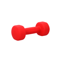Гантель для аэробики неопреновая PRCTZ NEOPRENE DUMBBELL, 3 кг.